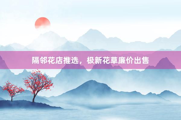 隔邻花店推选，极新花草廉价出售